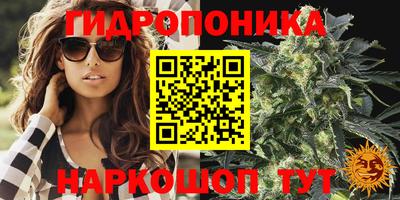 кокс Новокубанск