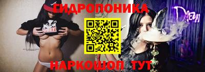 гидра Новодвинск