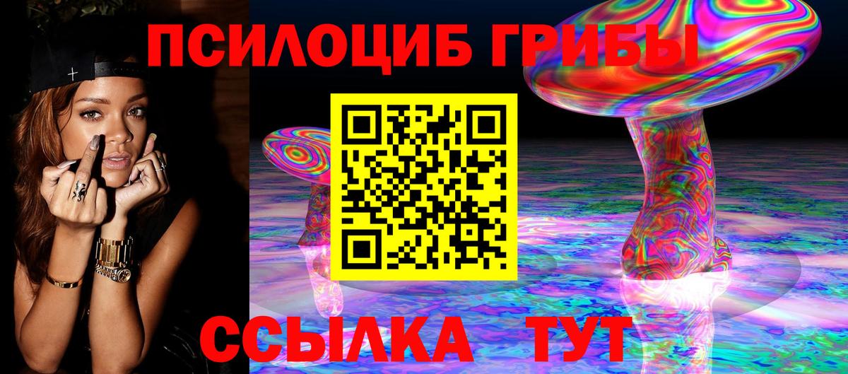Псилоцибиновые грибы Cubensis Соль-Илецк