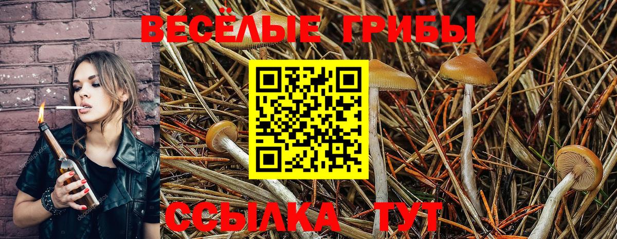 Соль-Илецк  Галлюциногенные грибы Cubensis  Псилоцибиновые грибы Magic Shrooms  Вход с VPN 